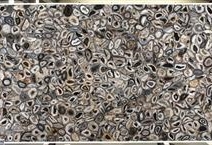 AGATE BLACK