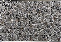 AGATE BLACK