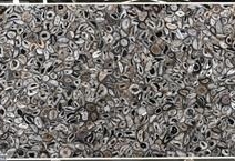 AGATE BLACK
